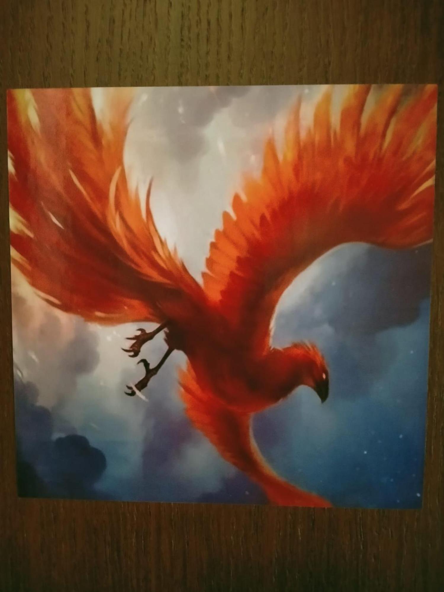 טריאסטה Fenix Rooms מראה חיצוני תמונה